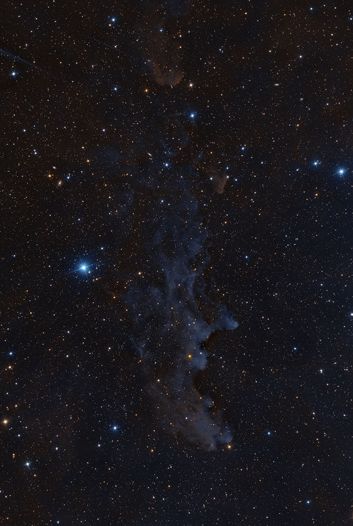 WitchHead Nebula